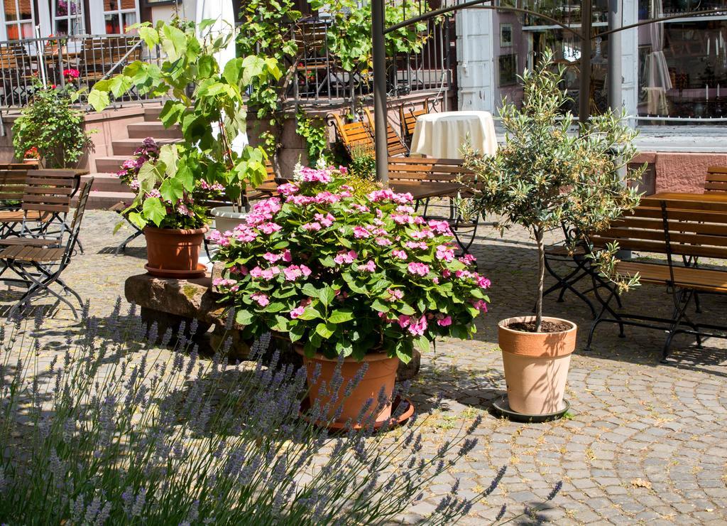 Hotel Weber Amöneburg Exterior foto